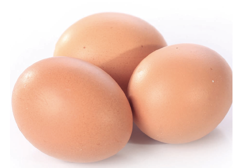 Sebutir telur yang terdiri dari putih dan kuning telur adalah sumber
